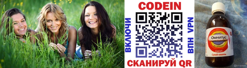 Купить закладки  Людиново  Кодеиновый сироп Lean напиток Lean (лин) 