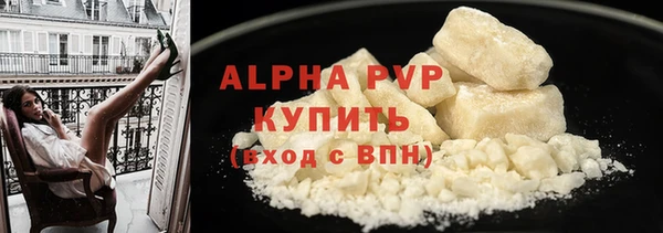 шишки Карпинск