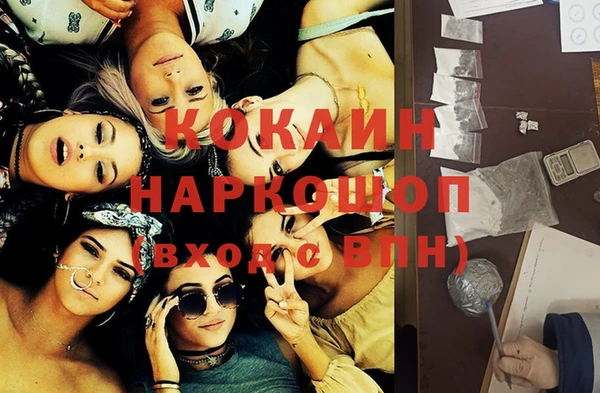 шишки Карпинск