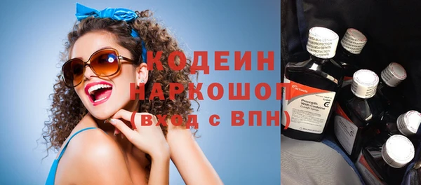 шишки Карпинск