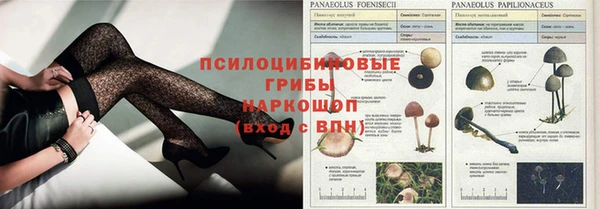 jwh Касимов