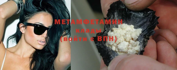 шишки Карпинск