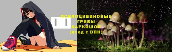 дживик Карталы