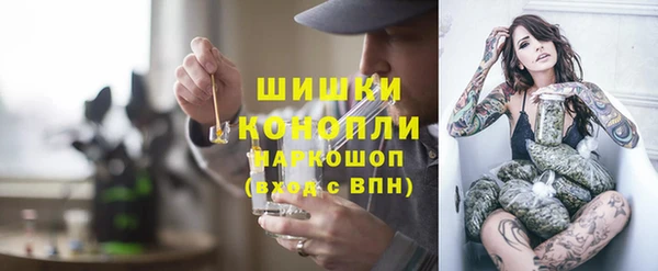шишки Карпинск