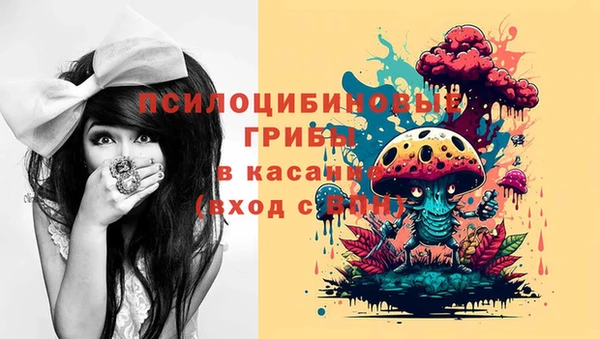 дживик Карталы