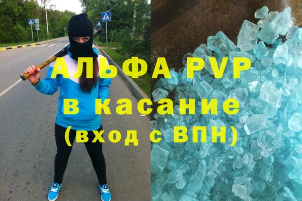 шишки Карпинск