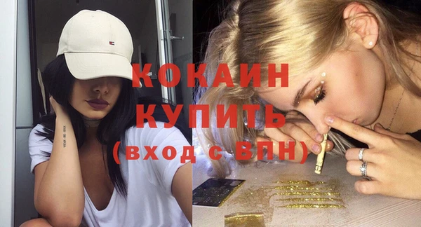 шишки Карпинск