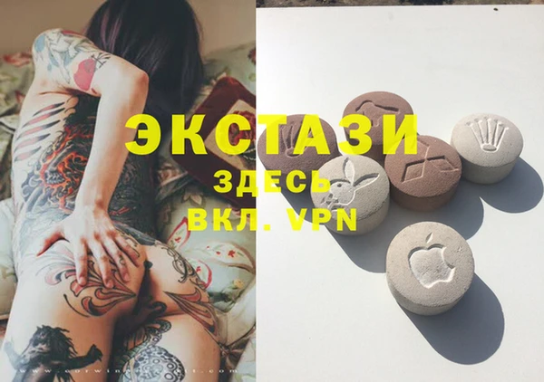 шишки Карпинск