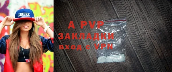 шишки Карпинск