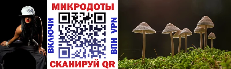 Купить где Людиново Псилоцибиновые грибы GOLDEN TEACHER